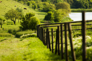 Bela and its surroundings, Southern Slovakia