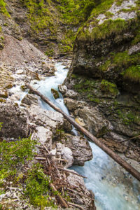 Gozd Martuljek gorge