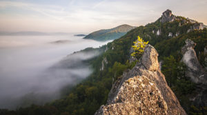 Sulovsky hrad in the background, Slovakia