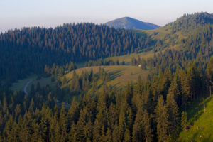 Rakytov mountain and forests near Smrekovica